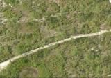  Dill Road - Photo 3