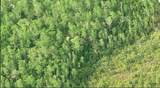  Dill Road - Photo 3