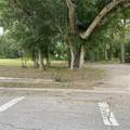 14577 Siplin Road - Photo 3