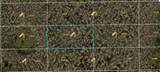  Dill Road - Photo 2