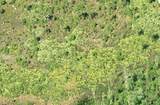  Dill Road - Photo 3