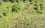  Dill Road - Photo 3