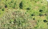  Dill Road - Photo 3