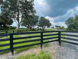  County Road 450A - Photo 2