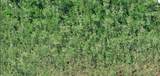  Dill Road - Photo 3