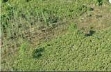  Dill Road - Photo 3