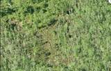  Dill Road - Photo 3