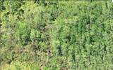  Dill Road - Photo 3