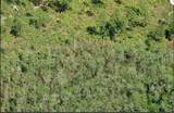  Dill Road - Photo 3