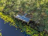 16486 Blooming Cherry Drive - Photo 46