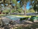 2856 104TH Avenue - Photo 47