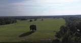 Lot B Burhans Road - Photo 10