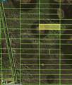 33284 Oil Well Road - Photo 3