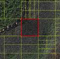  Holopaw Groves Road - Photo 1
