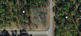 9611 Dearing Loop - Photo 2