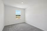 1224 Fan Palm Drive - Photo 30