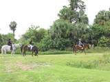 LOT A Burhans Road - Photo 4