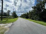  Sheldon Street - Photo 3