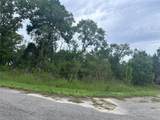  Guava Pass Way - Photo 5