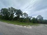  Guava Pass Way - Photo 6