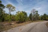  Guava Pass Way - Photo 8