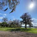 275 Lake Mary Boulevard - Photo 5