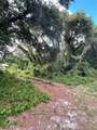  Charles Avenue - Photo 2