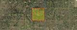  Holopaw Groves Road - Photo 3