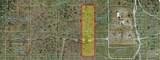  Holopaw Groves Road - Photo 3