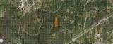  Holopaw Groves Road - Photo 2