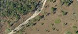  Holopaw Groves Road - Photo 4