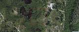  Holopaw Groves Road - Photo 1
