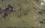  Holopaw Groves Road - Photo 3
