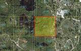  Holopaw Groves Road - Photo 6