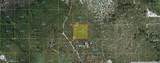  Holopaw Groves Road - Photo 2