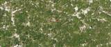  Holopaw Groves Road - Photo 3