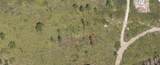  Holopaw Groves Road - Photo 3