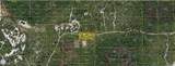  Holopaw Groves Road - Photo 2