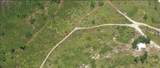  Holopaw Groves Road - Photo 3