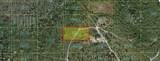  Holopaw Groves Road - Photo 4