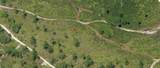  Holopaw Groves Road - Photo 3