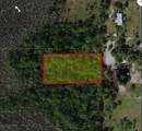  Holopaw Groves Road - Photo 2