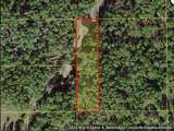  Holopaw Groves Road - Photo 2