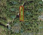  Holopaw Groves Road - Photo 4