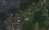  Holopaw Groves Road - Photo 6