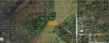  Holopaw Groves Road - Photo 2