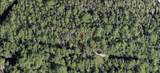  Holopaw Groves Road - Photo 2