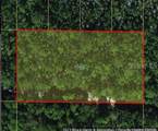  Holopaw Groves Road - Photo 3