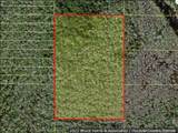  Holopaw Groves Road - Photo 2