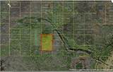  Holopaw Groves Road - Photo 4